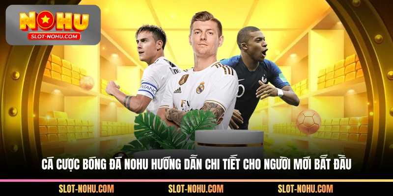 Cá đánh bóng đá Nohu chi tiết hướng dẫn cho người mới bắt đầu