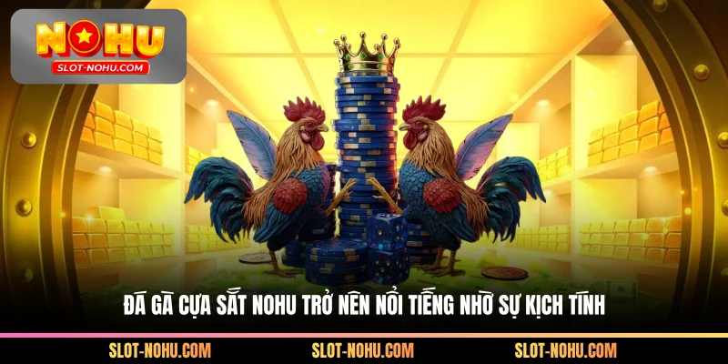 Đá gà cựa sắt Nohu trở nên nổi tiếng nhờ sự kịch tính