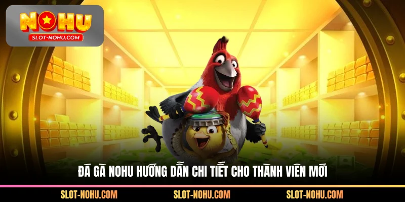 Đá gà Nohu chi tiết hướng dẫn cho thành viên mới