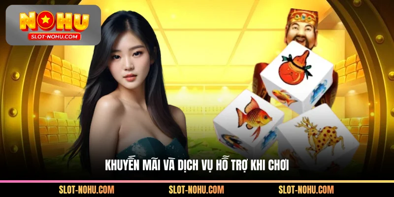 Khuyến mãi và dịch vụ hỗ trợ khi chơi