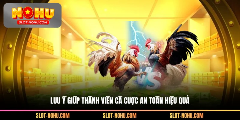 Lưu ý giúp người đánh giá hiệu quả