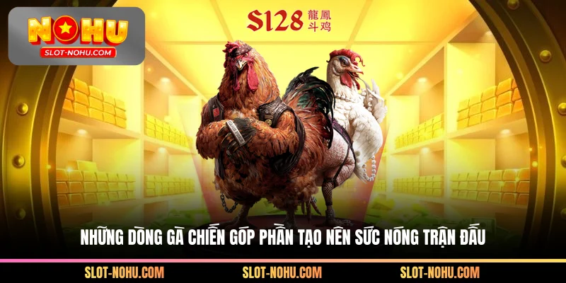 Những dòng gà chiến góp phần tạo nên sức nóng trận đấu