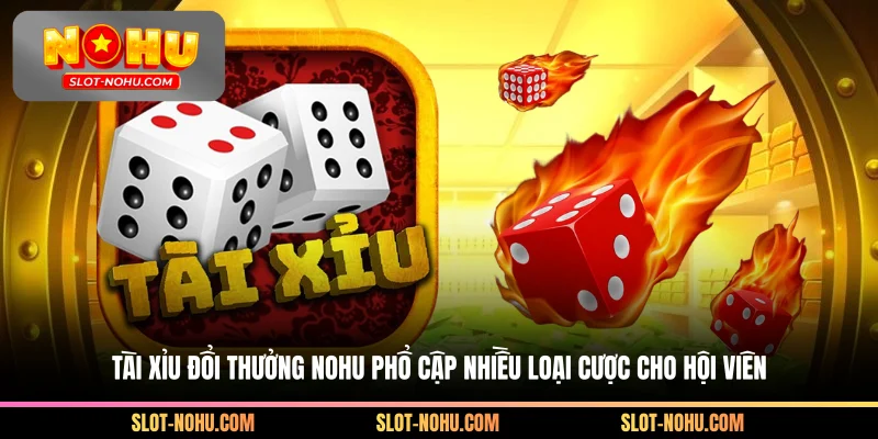 Tài xỉu đổi thưởng Nohu phổ cập nhiều loại cược cho hội viên