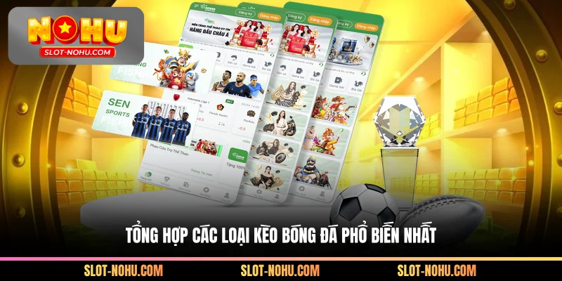 Tổng hợp các loại bóng đá phổ biến nhất