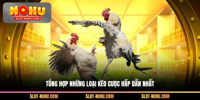 Tổng hợp những loại xà phòng hấp dẫn nhất