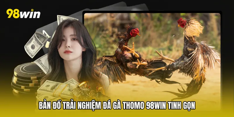 Bản đồ trải nghiệm Đá Gà Thomo 98win tinh gọn