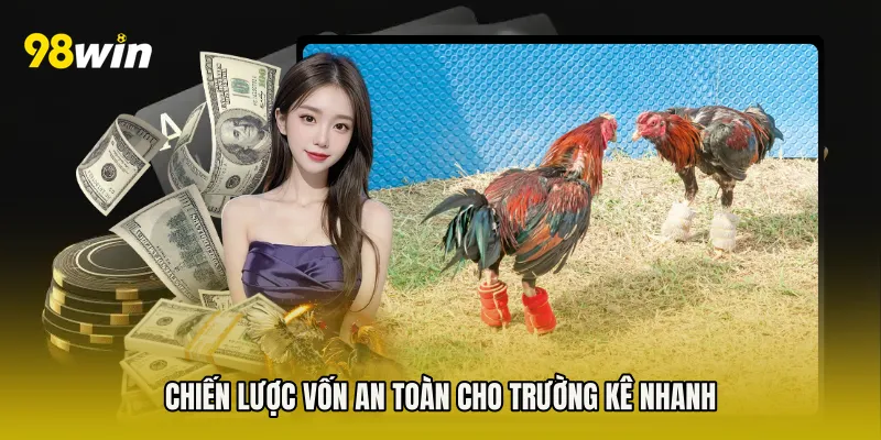 Chiến lược vốn an toàn cho trường kê nhanh